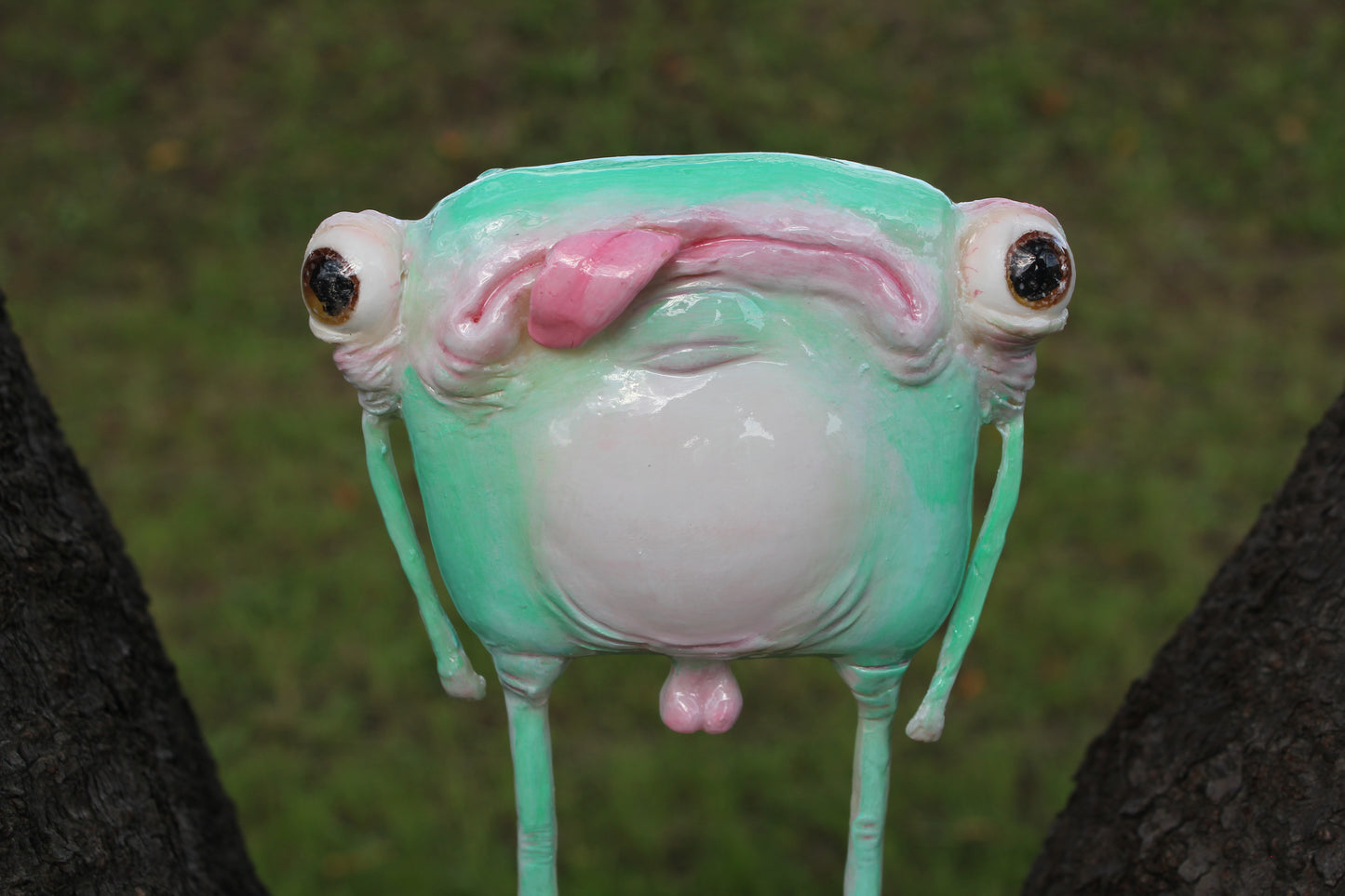 Air licking frog [Limited Edition 1/1]