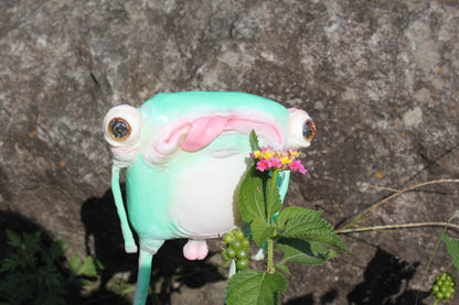 Air licking frog [Limited Edition 1/1]
