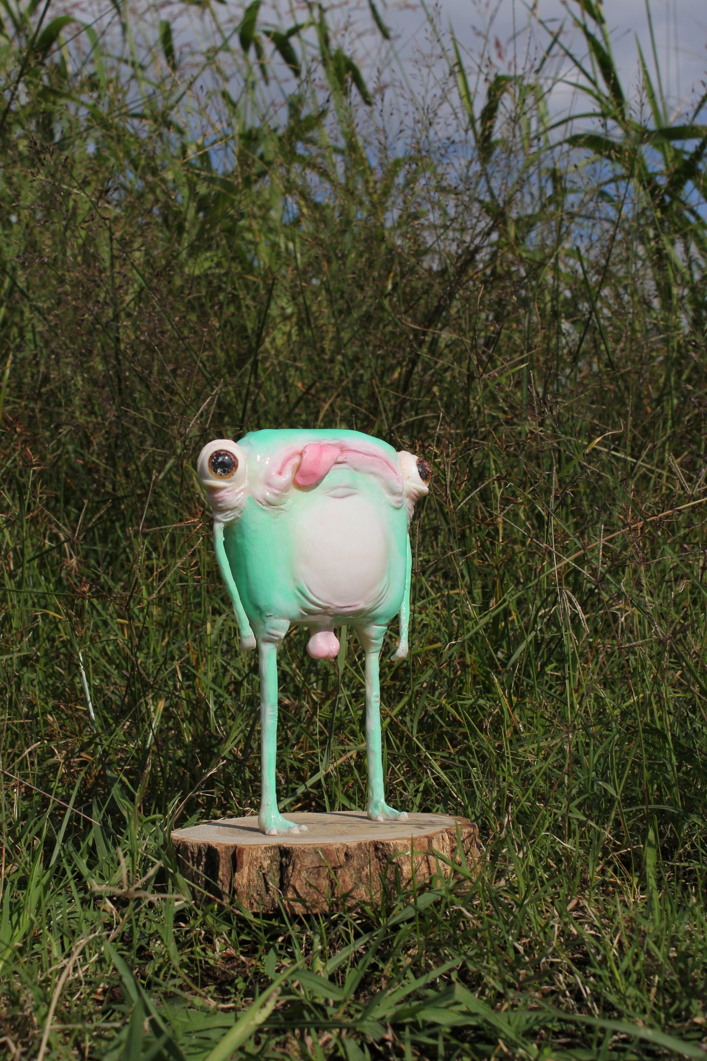 Air licking frog [Limited Edition 1/1]