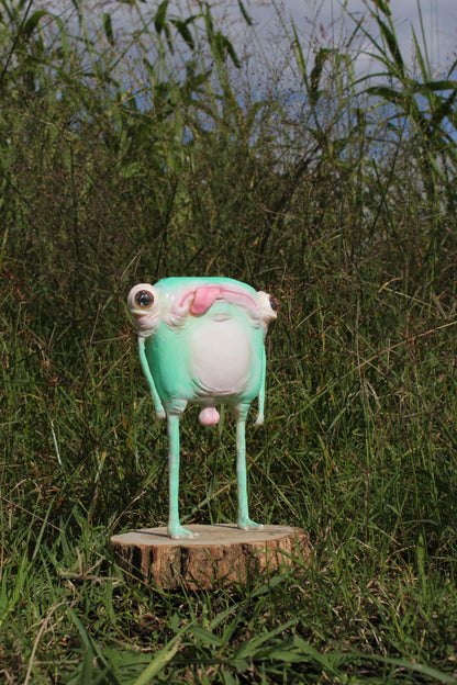 Air licking frog [Limited Edition 1/1]