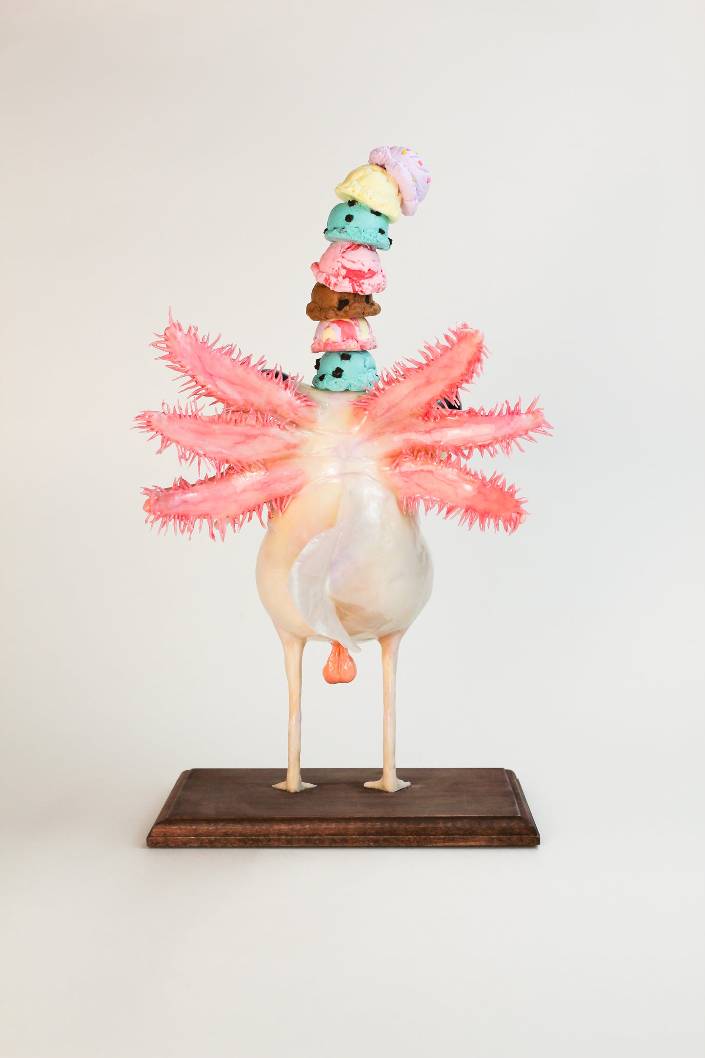 Axolotl [ Limited Edition 1/1 ]